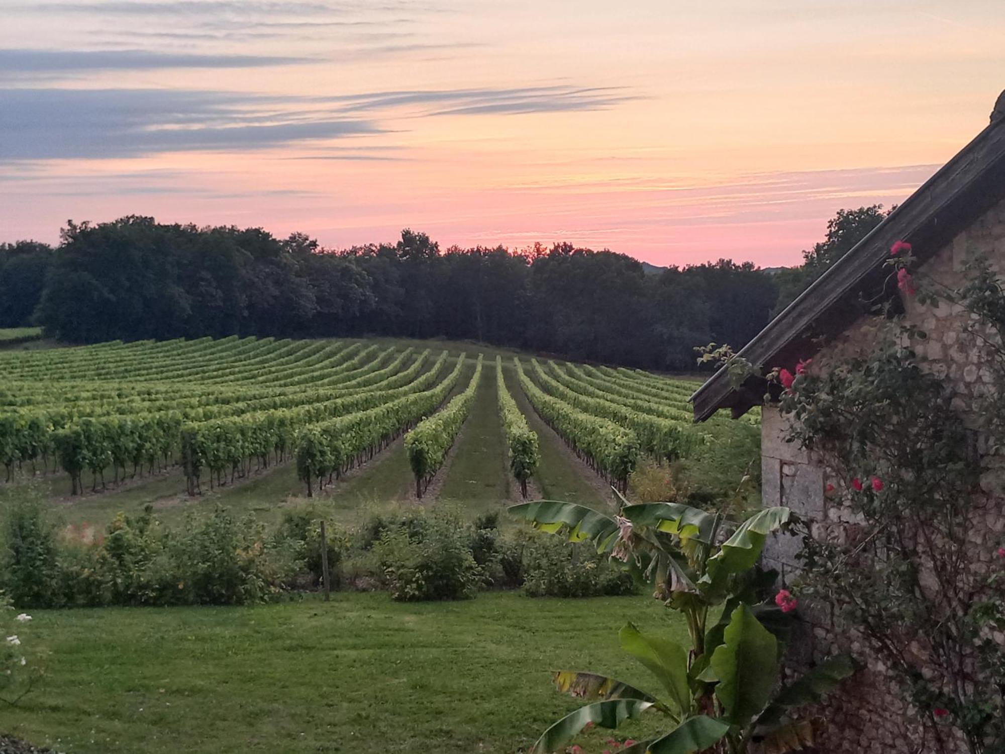 Domaine Chez Maurice Bed & Breakfast Becheresse Bagian luar foto