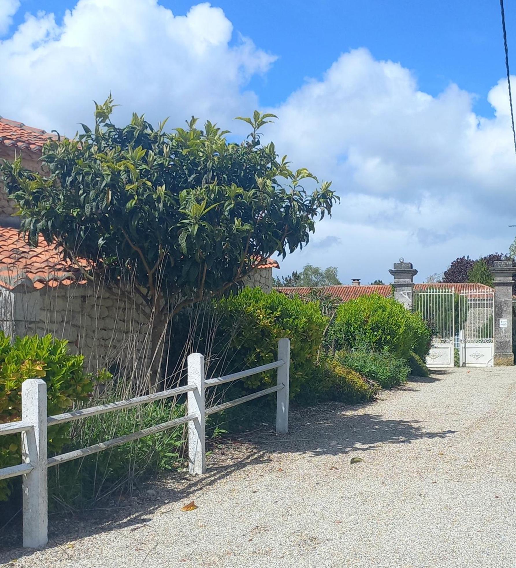 Domaine Chez Maurice Bed & Breakfast Becheresse Bagian luar foto