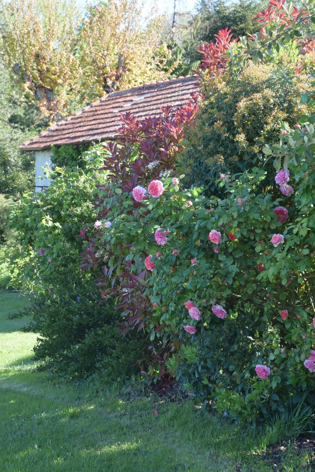 Domaine Chez Maurice Bed & Breakfast Becheresse Bagian luar foto