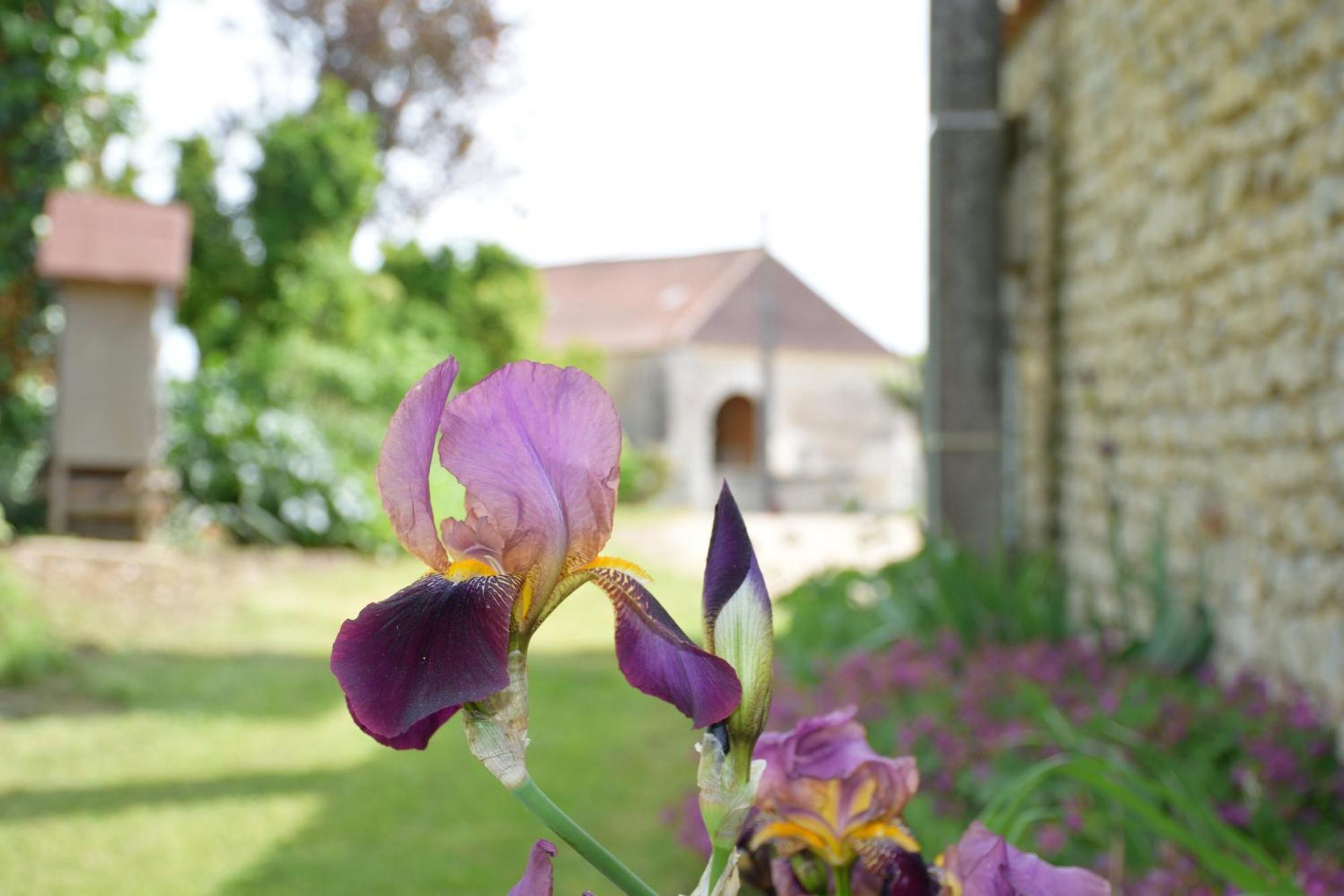 Domaine Chez Maurice Bed & Breakfast Becheresse Bagian luar foto