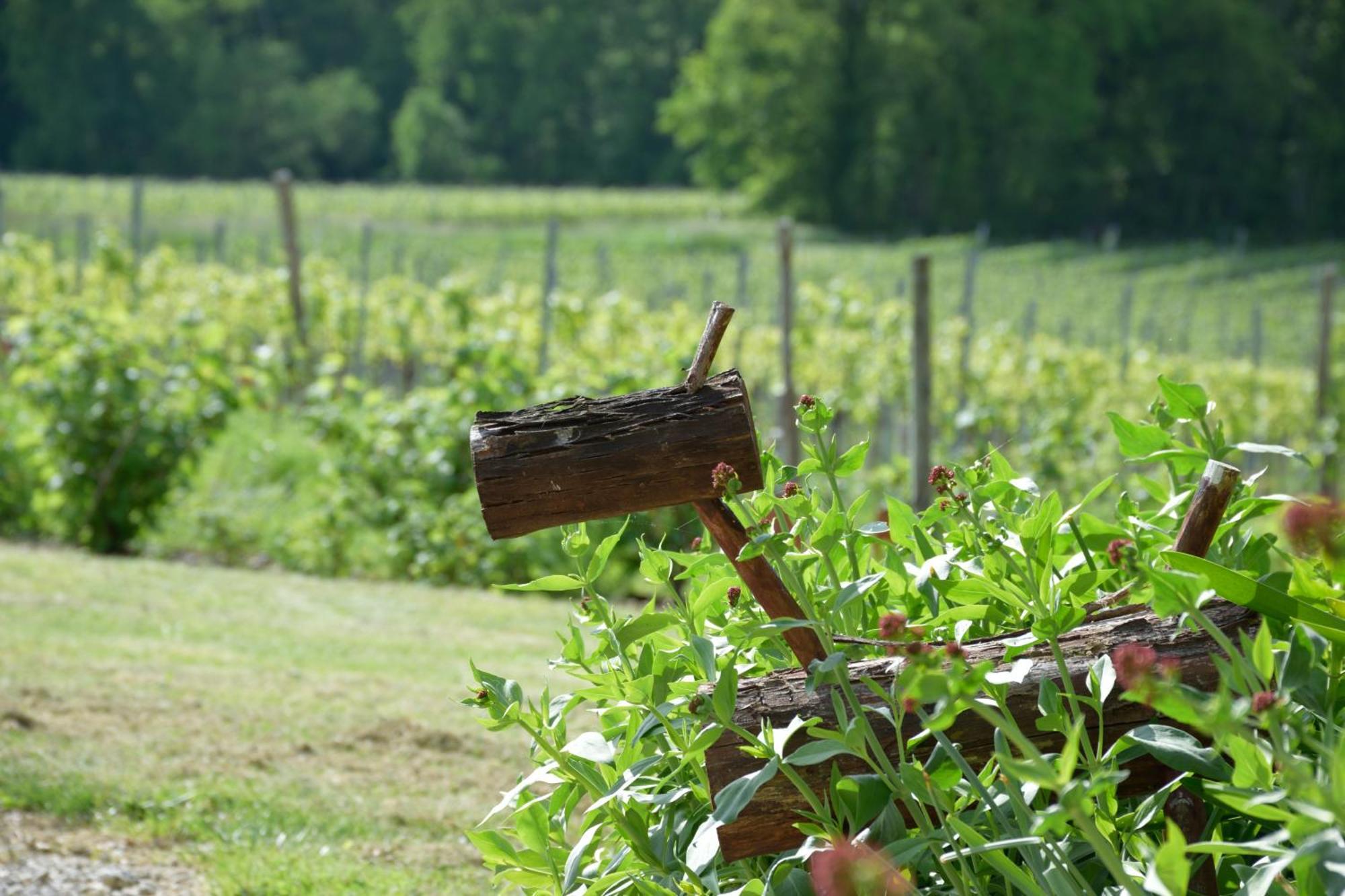 Domaine Chez Maurice Bed & Breakfast Becheresse Bagian luar foto