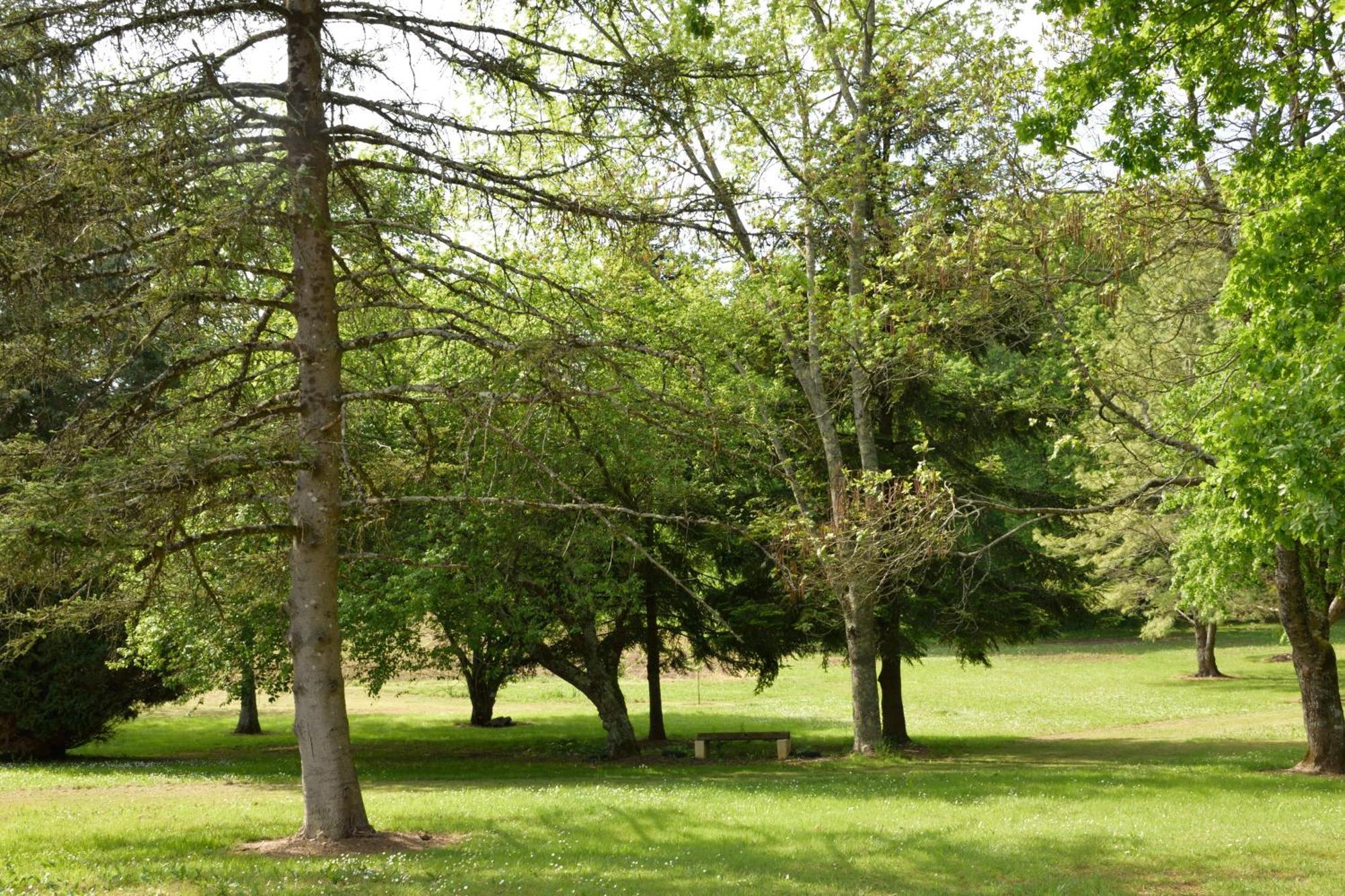 Domaine Chez Maurice Bed & Breakfast Becheresse Bagian luar foto