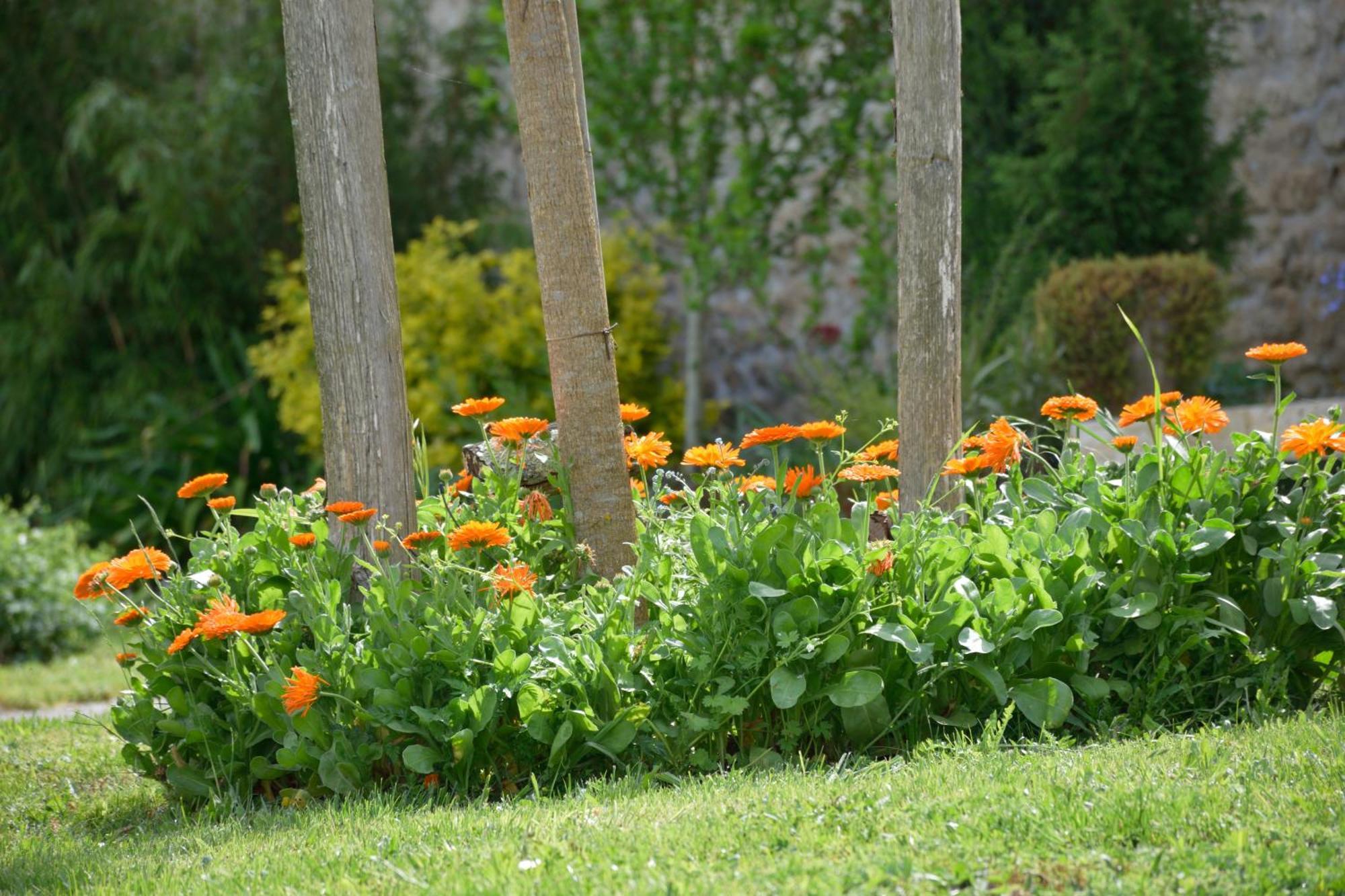 Domaine Chez Maurice Bed & Breakfast Becheresse Bagian luar foto