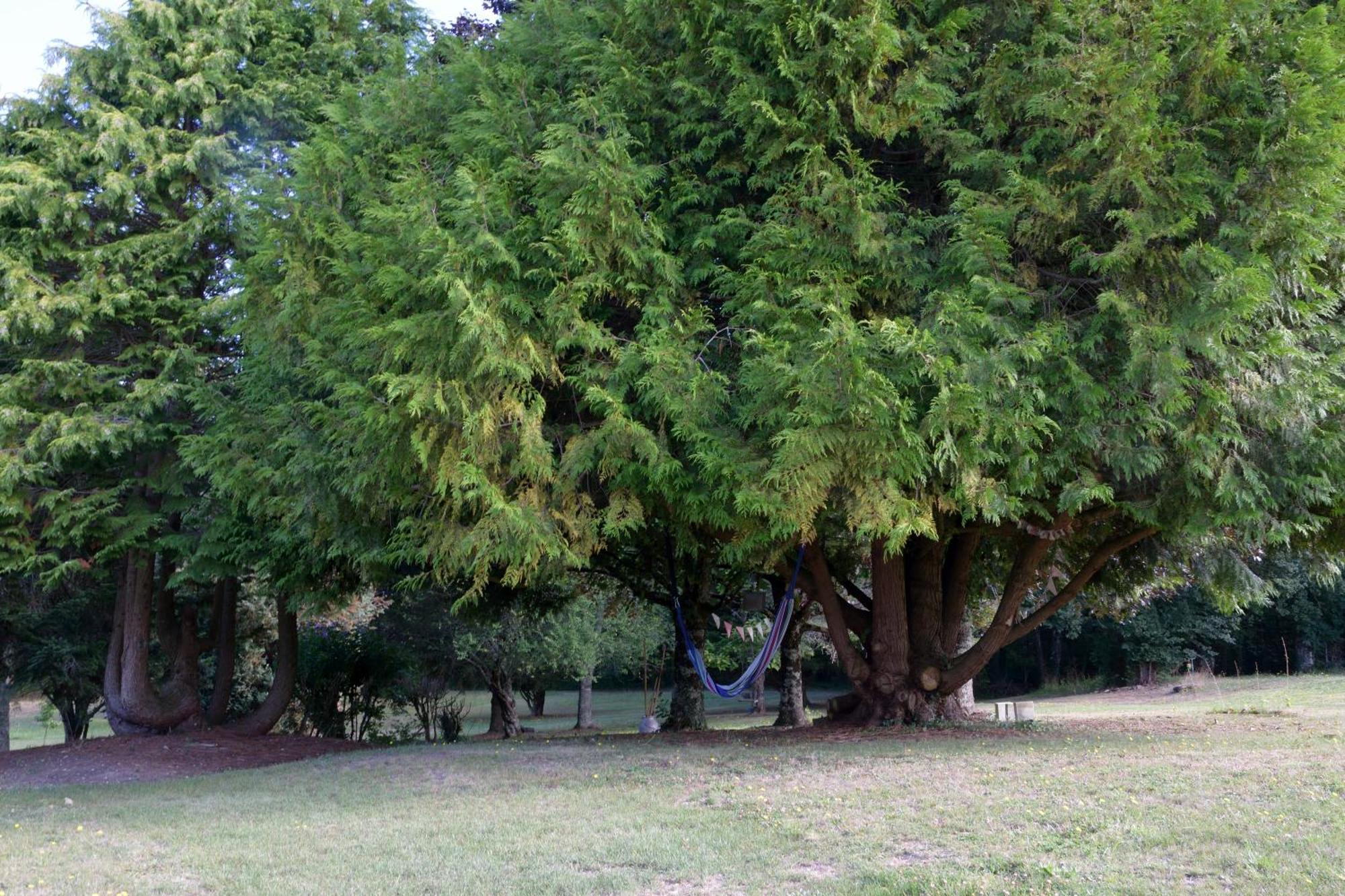 Domaine Chez Maurice Bed & Breakfast Becheresse Bagian luar foto