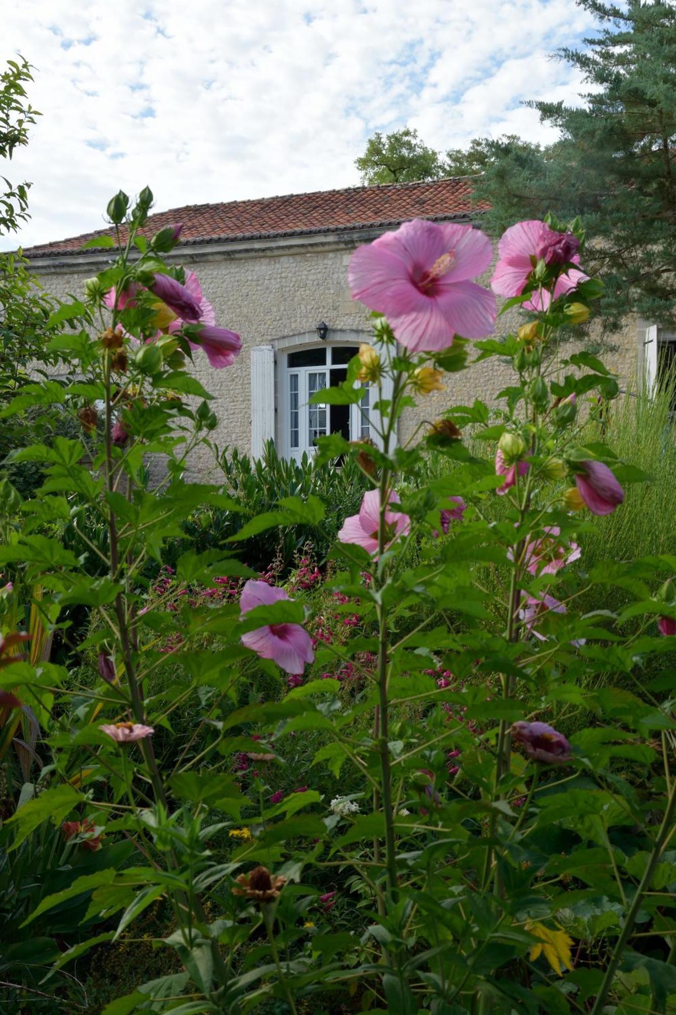 Domaine Chez Maurice Bed & Breakfast Becheresse Bagian luar foto