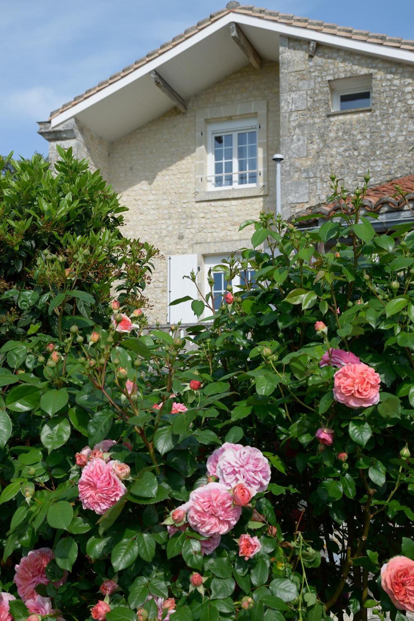 Domaine Chez Maurice Bed & Breakfast Becheresse Bagian luar foto